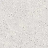 Керамогранит Терраццо серый светлый обрезной мат, 60x60 9 мм, арт. SG632420R