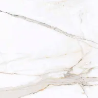 Керамогранит Regal Carara полир, 60x60 9 мм, арт. PR103