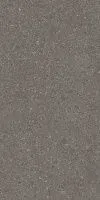 Керамогранит Чеппо ди Гре коричневый обрезной мат 119,5x238,5 9 мм арт. DD591720R
