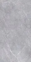 Керамогранит Риальто серый обрезной, 119,5x238,5 11 мм, арт. SG590200R