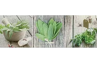 Декор Salerno glass kitchen 2 глянц, 20x60