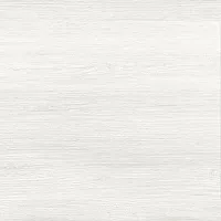 Керамогранит Forest мат, 60x60 9 мм, арт. GFU04FOR04R