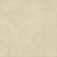 Керамогранит Boost Natural Pro Oat структур 120x120 20 мм арт. ARB2