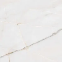 Керамогранит Essenza PW R мат, 80x80 11 мм