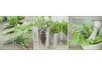 Декор Salerno glass kitchen 1 глянц, 20x60