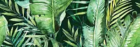 Декор Braga Tropic B Rect глянц, 25x75 9 мм