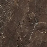 Керамогранит Jewels Emperador Selected полир, 60x60 10 мм