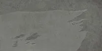 Керамогранит Ardesia Grey мат 60x120 арт. 610010002693