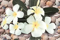 Панно Seashore P4D173 из 4-х шт глянц, 40x60