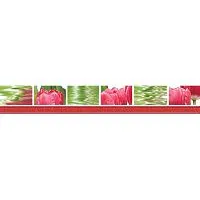 Бордюр Тюльпаны глянц 7x50 9 мм арт. 05-01-1-77-05-47-160-0