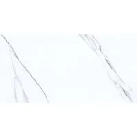 Плитка CARRARA BIANCO глянц 31,5x63 9,5 мм арт. 00-00108692