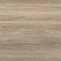 Керамогранит Forest мат, 60x60 9 мм, арт. GFU04FOR24R