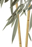 Декор Бамбук глянц, 24,9x36,4, арт. ВС7БМ004