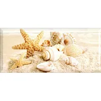 Декор Морской 336763, 20x45