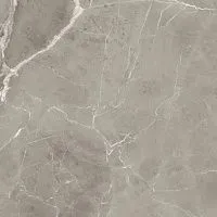 Керамогранит PU.ELEGANT GREIGE LUX RT полир 120x120 9 мм арт. EX12