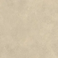 Керамогранит Boost Expression Tan мат 60x60 9 мм арт. AYVQ