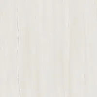 Керамогранит Marvel Bianco Dolomite лап, 60x60 9.0 мм, арт. AZRI