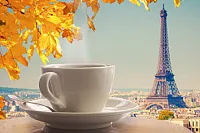 Декор D3 Travel cup глянц, 20x30, арт. D3D249