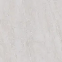 Керамогранит Парнас серый светлый обрезной, 80x80, арт. SG841800R