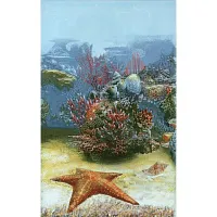 Декор Адриатика 341911/1 глянц, 25x40