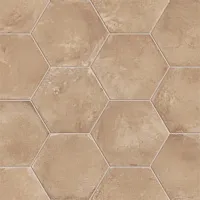 Керамогранит Terra Ocra Essagonо мат, 25x21,6