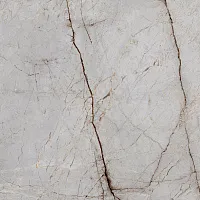 Керамогранит Silver Root полир, 60x60 8,5 мм