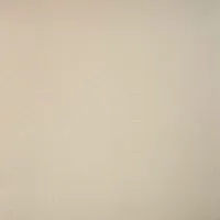 Керамогранит Профи бежевый матовый мат 60x60 10 мм арт. GT100M