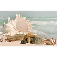Декор Адриатика "Ракушки" 121915 глянц, 25x40