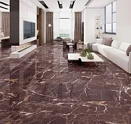Sequoia Brown Exotic