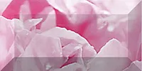 Бордюр Peony br1020D281-2 глянц, 10x20, арт. br1020D281-2