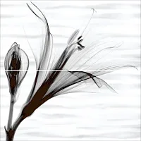 Панно Esta глянц, 49,8x50 8,5 мм, арт. PWU09EST1