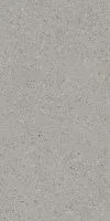 Керамогранит Чеппо ди Гре серый обрезной мат 119,5x238,5 9 мм арт. DD591420R