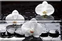 Панно Composicion Wellness White 02 глянц, 30x45