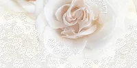 Декор Decor Marvel Rosa-2 Perla, 25x50