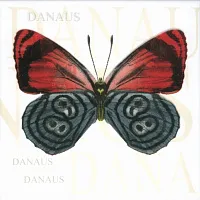 Декор Бабочка Д тип 4, 20x20