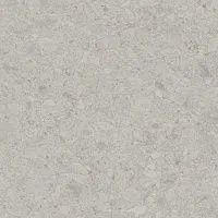 Керамогранит Чеппо ди Гре серый светлый обрезной мат 119,5x119,5 9 мм арт. DD012420R