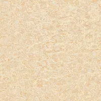 Керамогранит PMR 6609 полир, 60x60