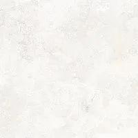 Керамогранит Antico Pearl светло-серый карвинг мат 59,5x59,5 9 мм арт. LP6060G0081R