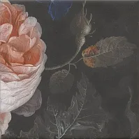 Декор Парк Роз мат, 20x20, арт. MLD/A108/5009