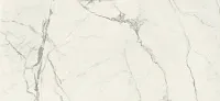 Керамогранит BIANCO STATUARIO GLOSSY полир, 120x260 6,5 мм, арт. SC.VN.BS.GL