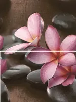 Панно Sauna P2D174 из 2-х шт глянц, 40x30