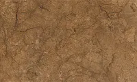 Плитка Rotterdam brown 02 глянц, 30x50, арт. 010100000310