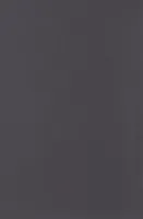 Плитка Minimal Negro DS73, 25x38