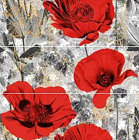 Декор Rubi глянц, 60x60 8 мм, арт. PWU11RUB1