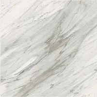 Керамогранит Apuano Living Lap глянц, 59,5x59,5, арт. WE0168L