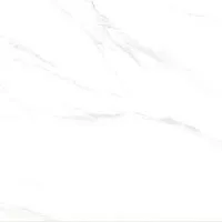 Керамогранит Calacatta Genius белый полир 60x60 8 мм