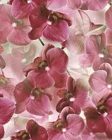 Панно Multi Rojo (из 2-х плиток) глянц, 40x50