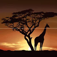 Панно Africa P2-1D210 глянц, 40x40, арт. P2-1D210