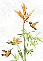 Декор Jungle, 25x35, арт. C-JU2M052