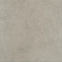 Керамогранит Монсанту серый светлый натуральный мат, 40,2x40,2 8 мм, арт. SG168600N